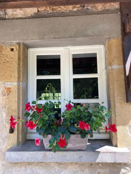 Vakantiehuis La Poire, Op Landgoed Aan De Dordogne Prudhomat ภายนอก รูปภาพ